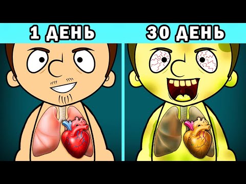 Видео: Что если пить энергетики вместо воды?