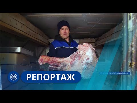 Видео: Репортаж: Поддержка семейного бизнеса в Усть-Нере