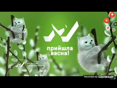 Видео: рекламный блок и анолюкси 24.04 (2019)