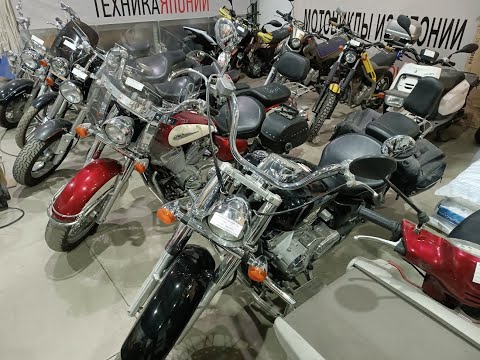 Видео: Осмотр  перед покупкой Honda VT 750.