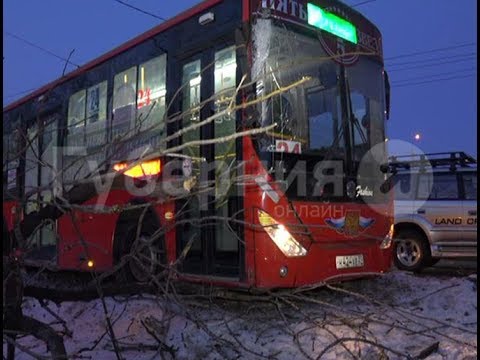 Видео: Водитель автобуса врезался в дерево на проспекте в Хабаровске. Mestoprotv