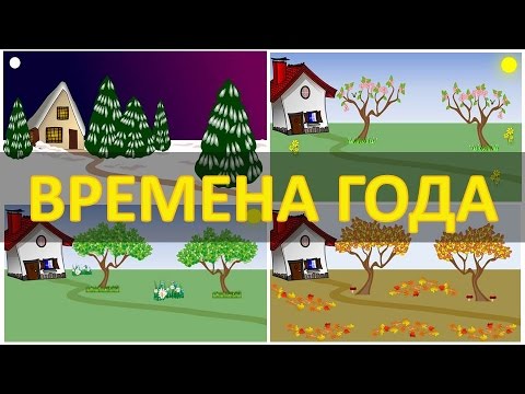 Видео: Времена года