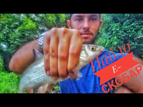 Видео: Риболов на река Янтра на плувка. Хванах 5 вида риба