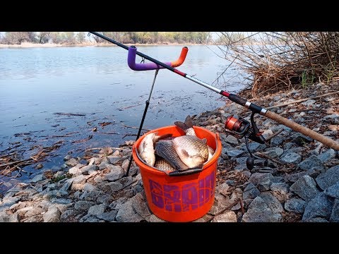 Видео: Ловля Крупного КАРАСЯ на ФИДЕР