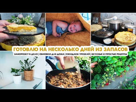 Видео: НАГОТОВИЛА на несколько дней💪Простые блюда из прошлогодней заморозки❄️Красивые обновки для дома😍