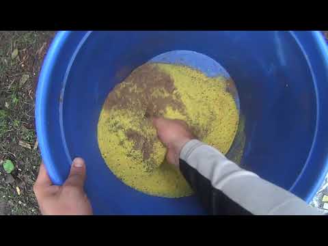 Видео: Десногорск! Таких рыбалок здесь еще не было...