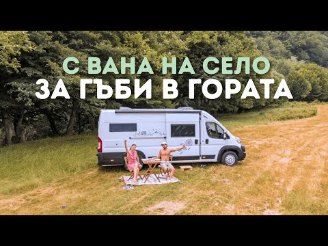 Видео: Берем гъби в Сливенския Балкан и На Село 🍄 | Диво къмпингуване с кемпер вана