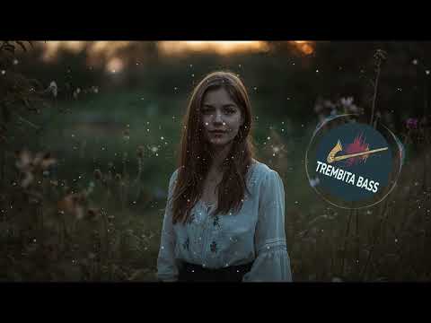 Видео: Trembita Bass - Цвіте терен (EDM)