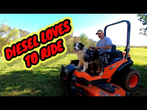 Видео: Kubota ZD331 Весеннее техническое обслуживание