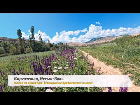 Видео: Vlog #18 Поход на Тамга-таш. Южный берег Иссык-Куля, Кыргызстан. 2025