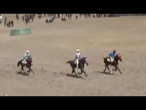 Видео: Бышты жорго 21 03 2023 Нооруз