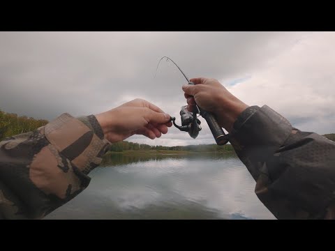Видео: Ультралайт рыбалка осенью! Эта рыбалка мне приснилась! Xesta Black Star Extra Tuned S54SUL-S