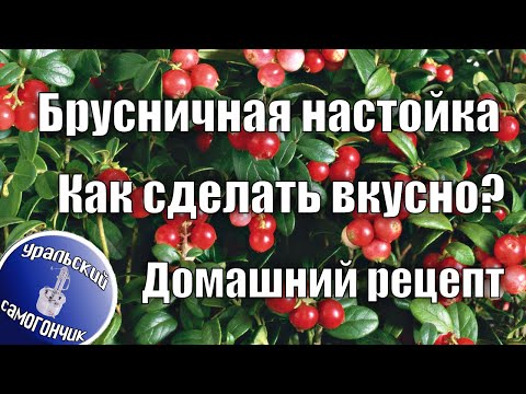 Видео: Настойка из Брусники