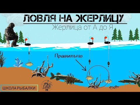 Видео: ЖЕРЛИЦА на ЩУКУ и др. Где и как ловить? ЗНАЙ И ЛОВИ. Школа рыбалова.(Ч.2)