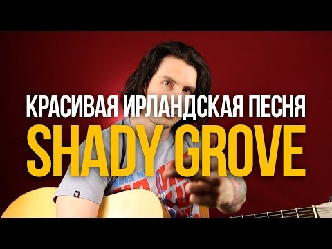 Видео: Как играть красивую ирландскую мелодию на гитаре Shady Grove - Уроки игры на гитаре Первый Лад