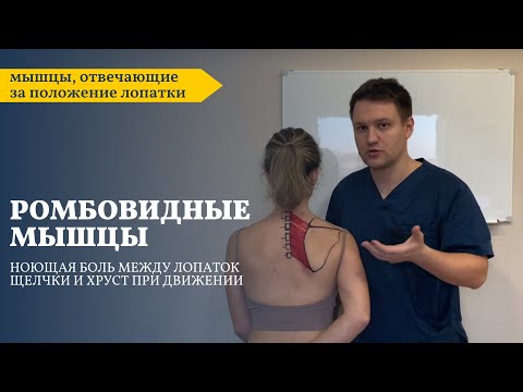 Видео: Боль между лопаток | Ромбовидные мышцы