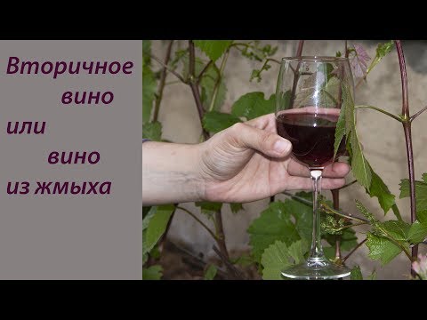 Видео: Готовим вторичное вино или вино из жмыха