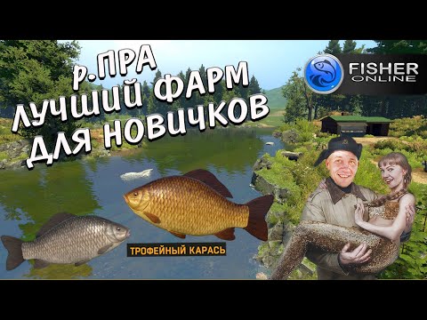 Видео: Fisher Online р.ПРА Фарм для новичков / Ловля трофейных карасей / ФАРМ ЗА ИГРОВЫЕ СУТКИ ПОЛНОЕ ВИДЕО