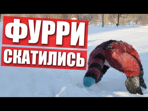 Видео: 😥 ФУРРИ скатились ✅ ФУРСЬЮТ встреча в МОСКВЕ