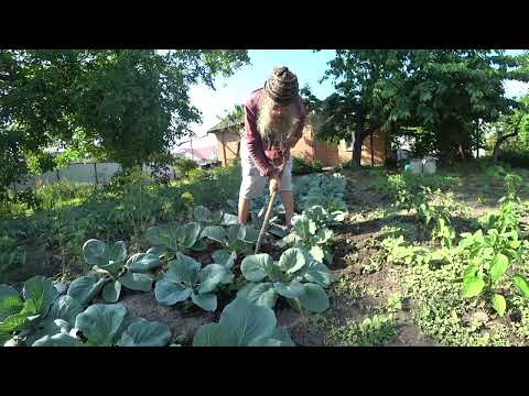 Видео: Вітя Мітя займається городництвом  21 06 2023