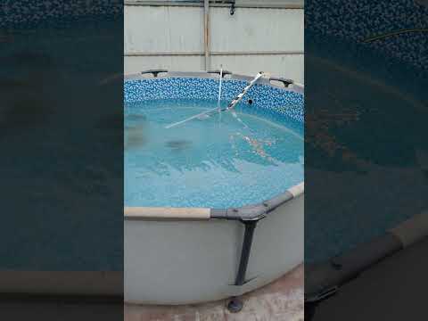 Видео: 30 октября 2025 г.