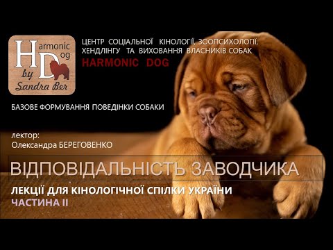 Видео: Олександра Береговенко - Відповідальний заводчик (Частина ІІ)