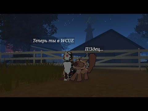 Видео: //Мое мнение о фанбазе WCUE//