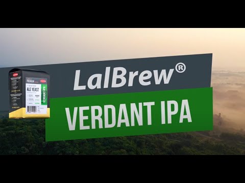 Видео: Откройте для себя элевые дрожжи LALBREW® VERDANT IPA