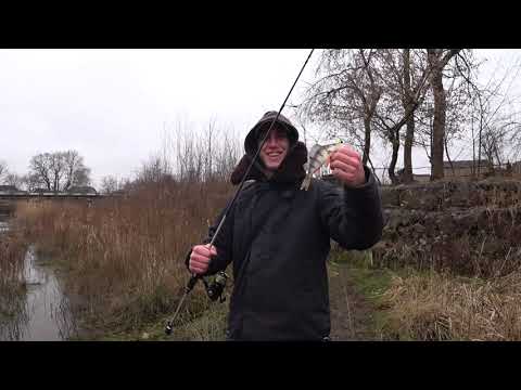 Видео: Рибалка на спінінг р. Гнила Липа. Окунь, Голавлик, Судачок! Результати розіграшу!!!!