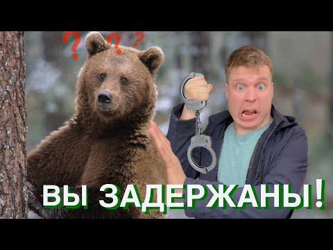 Видео: Как поймать ЗЛОГО МЕДВЕДЯ!?!