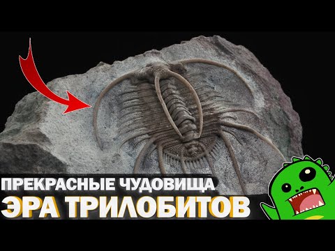 Видео: «По следам монстров» Серия 2 - Прекрасные чудовища