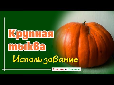 Видео: Крупная тыква. Варианты использования. Просто, быстро, вкусно.
