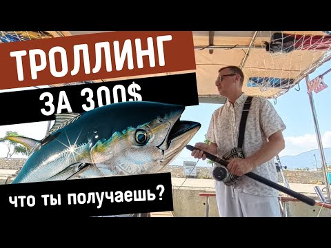 Видео: 🇹🇷 🎣 Рыбалка в Алании 2025 | Троллинг, катер, кальмары, цены и морской тур по Средиземному морю