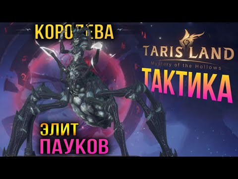 Видео: Tarisland - Королева пауков (Элит) - Гайд. Тактика - бей и беги, истребляй пауков.