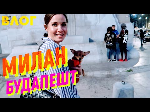 Видео: ДЕНЬ12. БОЛЬШОЙ ПЕРЕЕЗД ИЗ МИЛАНА В БУДАПЕШТ. СУПЕРМАРКЕТЫ, ДОРОГИ, РАЗГОВОРЫ