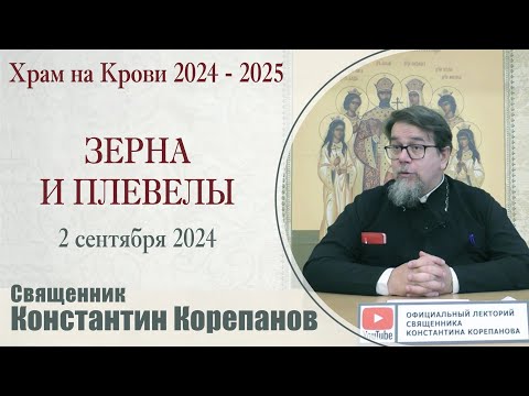 Видео: Зерна и плевелы. Беседа священника Константина Корепанова (2.09.2024)