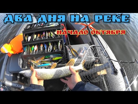 Видео: Осенняя рыбалка на щуку троллингом.Двух дневный троллинг на ОКЕ