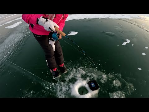 Видео: НАС ДАЖЕ НОЧЬЮ ОБУРИЛИ!! ЛОВЛЯ СУДАКА НА ВИБЫ! НОВИЧКАМ ВЕЗЁТ! Позитивная рыбалка вечером на СУДАКА!