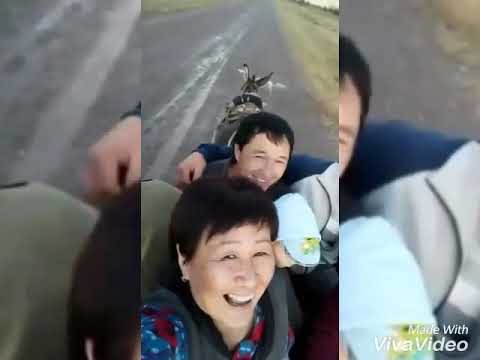 Видео: Бременские музыканты из Боролдоя