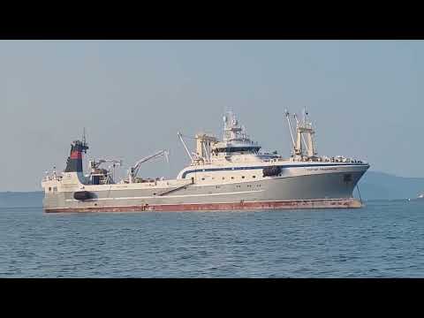 Видео: Супер траулер ,,Георгий Мещеряков"