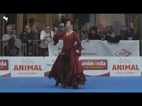 Видео: Танцы с собаками Давыдова  Светлана  и малинуа  Форс  Чемпионат Мира Германия 2019г