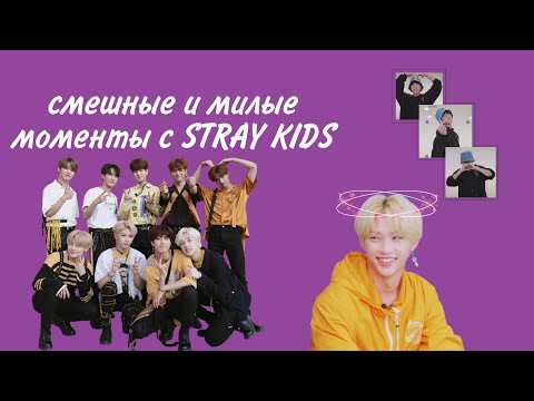 Видео: Смешные и милые моменты с STRAY KIDS 1 часть