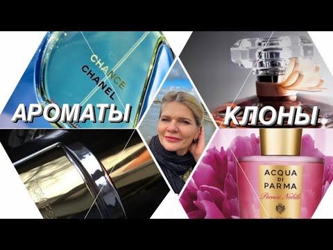 Видео: 🌺ДВА АРОМАТА - ОДНО ЗВУЧАНИЕ✨Дорогие парфюмки и их дубли за демократическую цену Часть 1