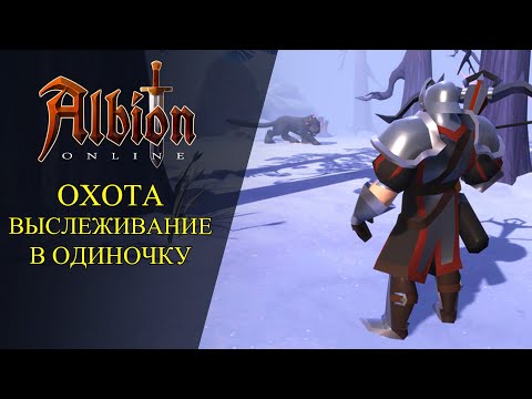 Видео: 🔴Albion online : ОХОТА - ВЫСЛЕЖИВАНИЕ В ОДИЧНОКУ