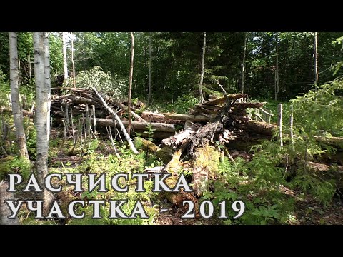 Видео: Расчистка участка под дачу Сезон 2019