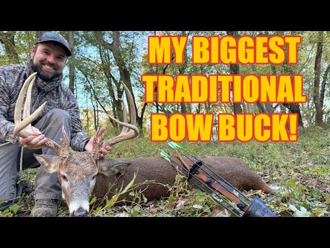 Видео: Мой САМЫЙ БОЛЬШОЙ традиционный лук-самец ВСЕГДА!