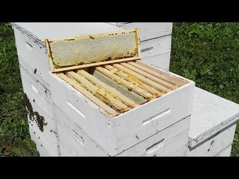 Видео: Самая быстрая сборка корпусов на 145 рамку