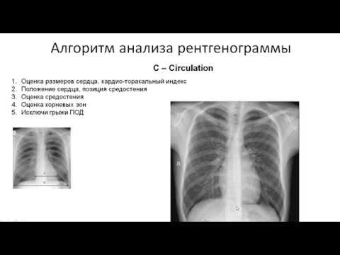 Видео: Урок №2