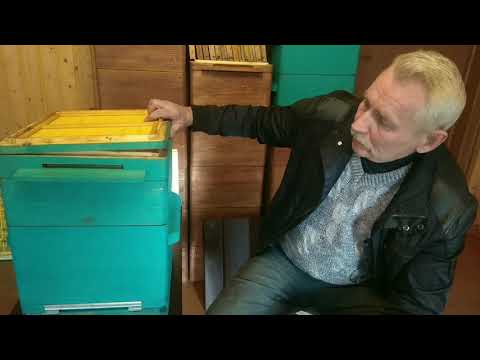 Видео: Улей Удав.Результаты сезона.Часть 2.