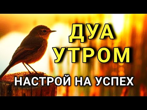 Видео: ДУА ДЛЯ БОДРОСТИ И МОТИВАЦИИ! ⚡🤲🔑